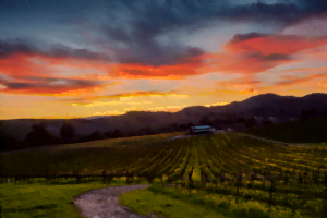 Napa Valley Sunset